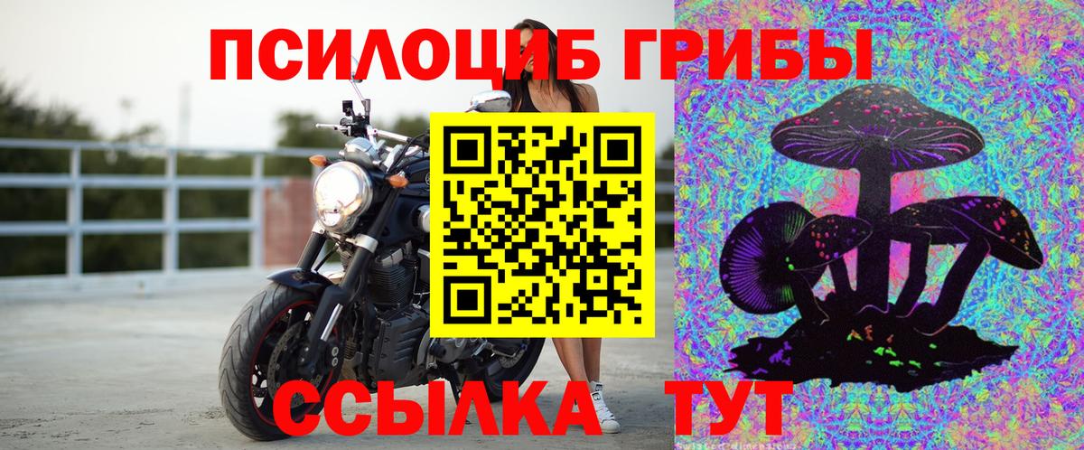 Псилоцибиновые грибы мицелий Каменск-Уральский
